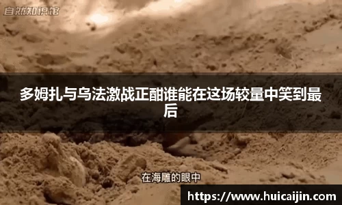 多姆扎与乌法激战正酣谁能在这场较量中笑到最后